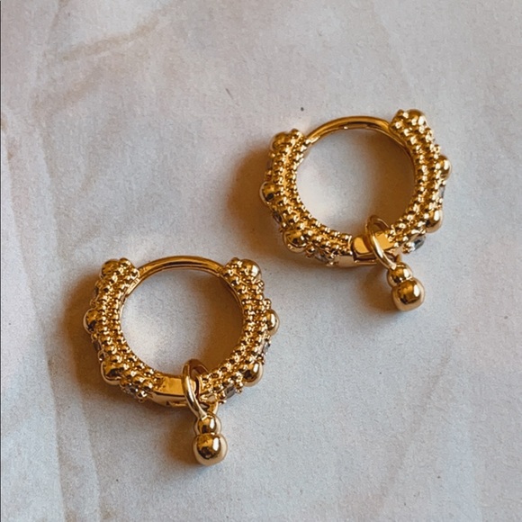 For Love And Lemons Jewelry - Lando Hoops